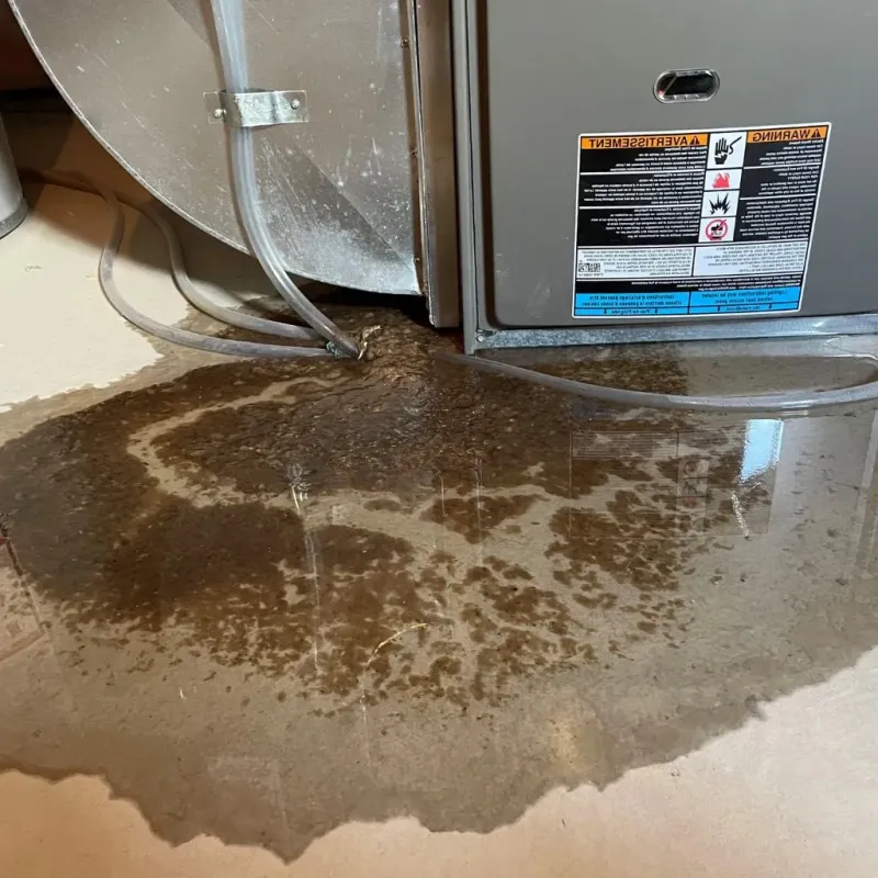 Pipe Burst and Leak Restoration in Wilson-Conococheague, MD
