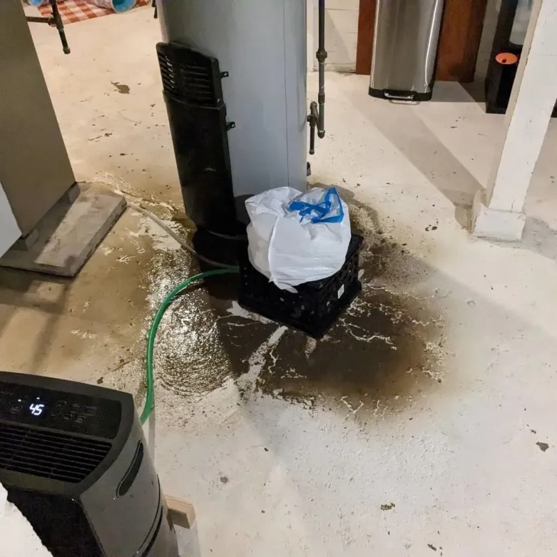 Sewage Backup Cleanup Service in Wilson-Conococheague, MD